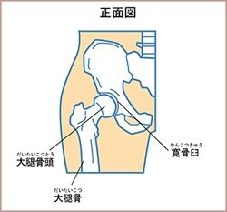 第6回 即効！ゴルフ股関節トレーニング