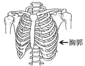 第230回 胸郭ストレッチの解説とやり方